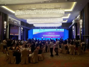 整合資源，打造卓越室內(nèi)晚宴體驗——海南佳鑫文化傳播的全方位服務(wù)方案